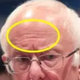 Image for article titled Bernie's Forehead Conspiracy: It's Just Lamps, You Dumb Fucks